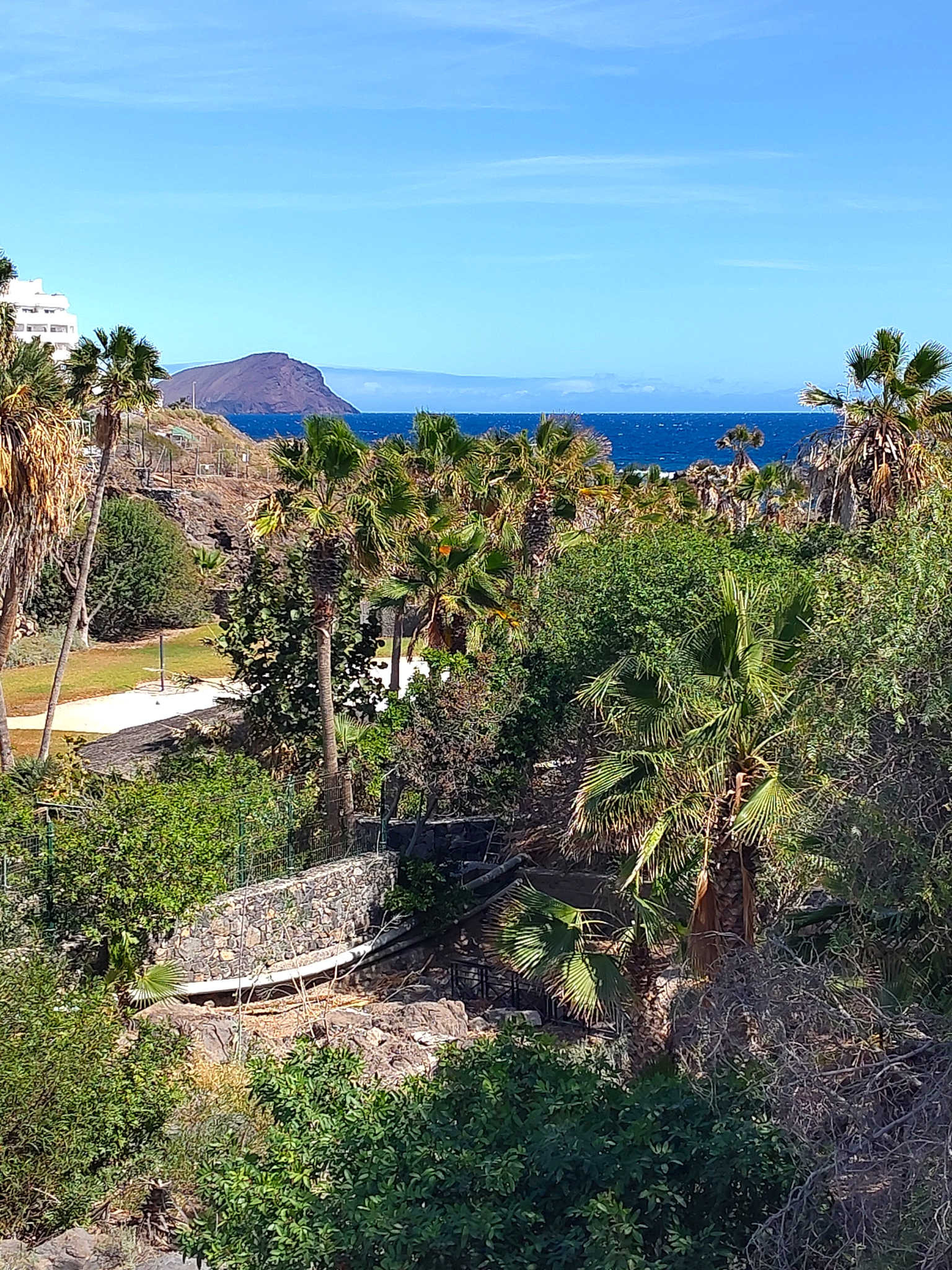 Blick von der Marina auf den Montaña Roja