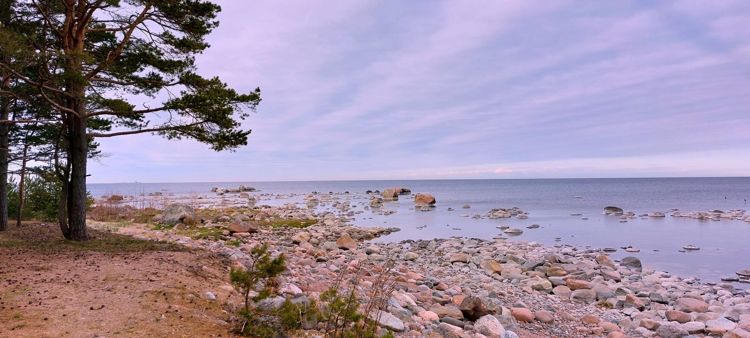 Estland Küste Ostsee Finnland